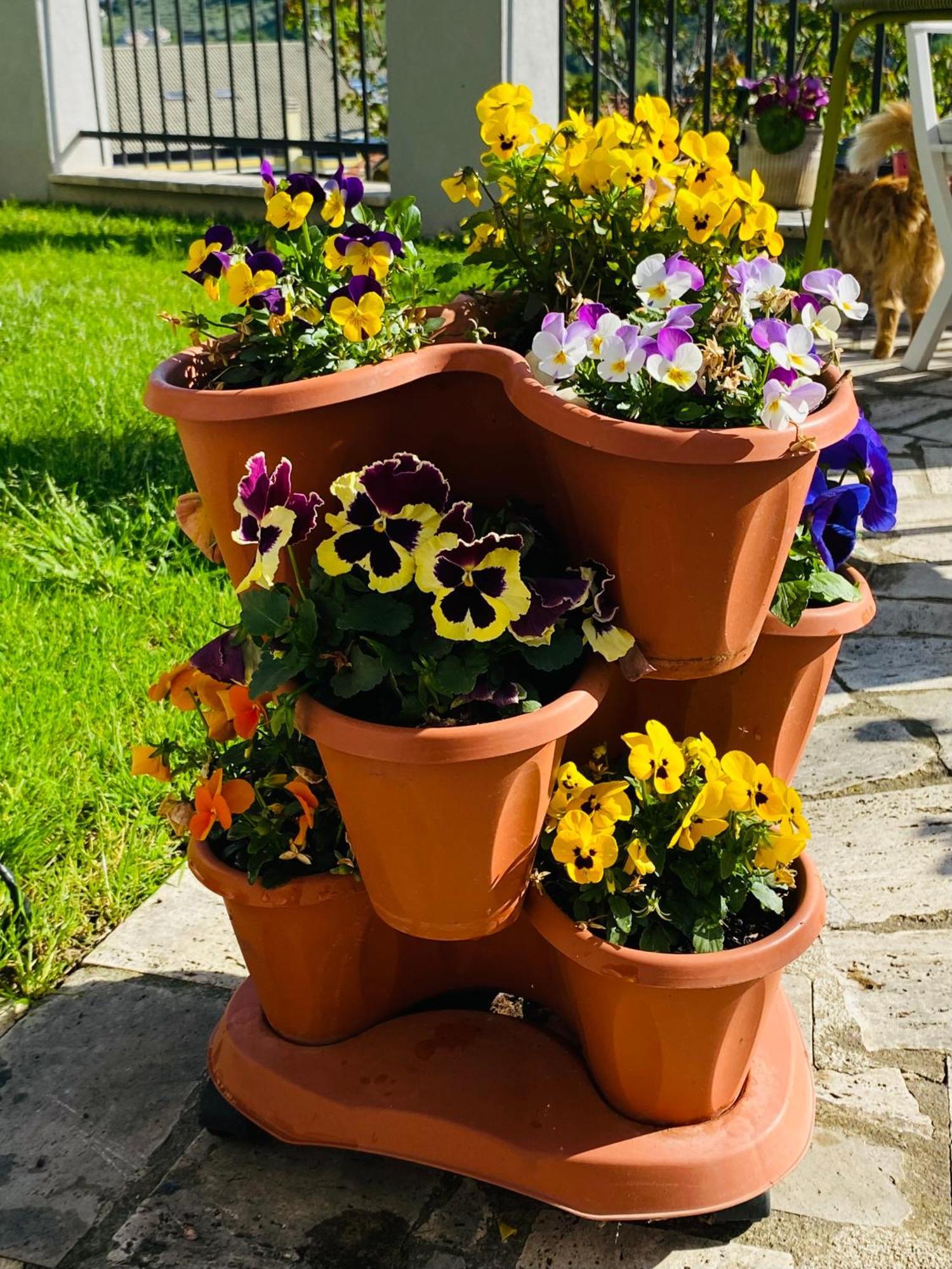 Dimora Il Campanile Bed & Breakfast Киети Екстериор снимка
